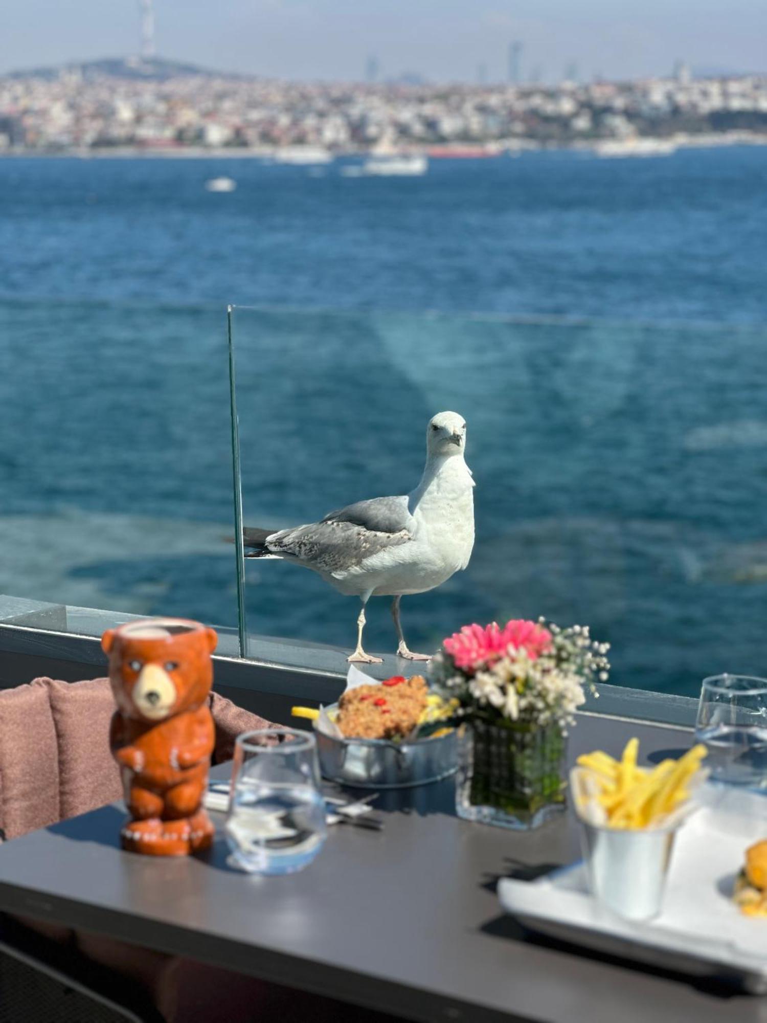 Pera Bosphorus Hotel Isztambul Kültér fotó